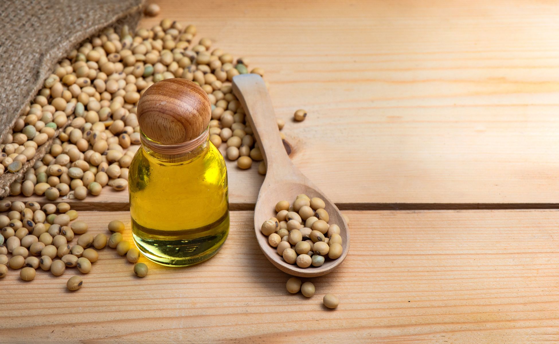 louisP Exports Soybean Oil