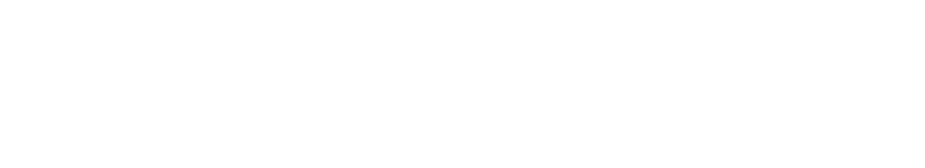 louisP Exports Logo